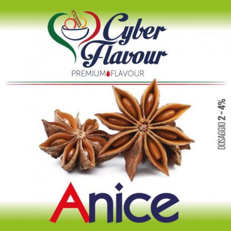 Anice Cyber Flavour Aroma Concentrato 10ml