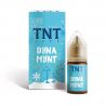 Dyna Mint TNT Vape Aroma Concentrato da 10ml per Sigarette Elettroniche