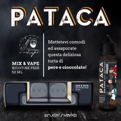 Pataca by Il Santone Dello Svapo Liquido Mix & Vape Enjoy Svapo 50 ml