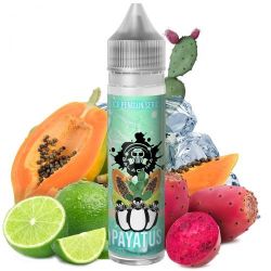 Payatus Liquido Pinguin Series Galactika Aroma da 20 ml Papaya Fico India Ghiacciati