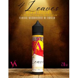 4 Leaves Beyond Liquido Valkiria 20 ml Aroma Tabacco e Cannella