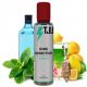 Gins Addiction Liquido Scomposto T-Juice 20ml Aroma Gin Agrumi Assenzio Mentolo