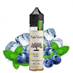 Blueberry Mint Ripe Vapes Liquido Scomposto 20ml