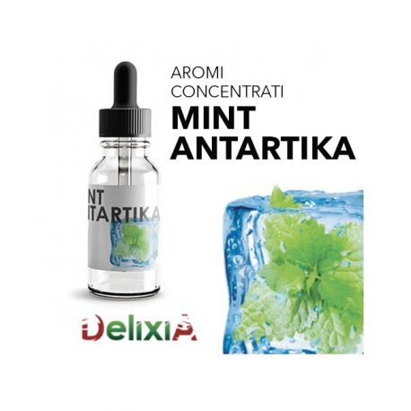 Delixia Aroma Mint Antartika