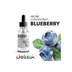 Delixia Aroma Blueberry