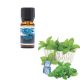 Sub Zero Aroma Twisted Vaping Aroma Concentrato da 10ml per Sigarette Elettroniche