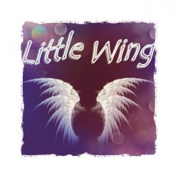 Little Wing Aroma T-Svapo