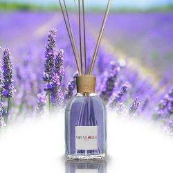 Lavanda di Provenza Profumatore e Diffusore di Essenze per Ambienti con Bastoncini 100 ml