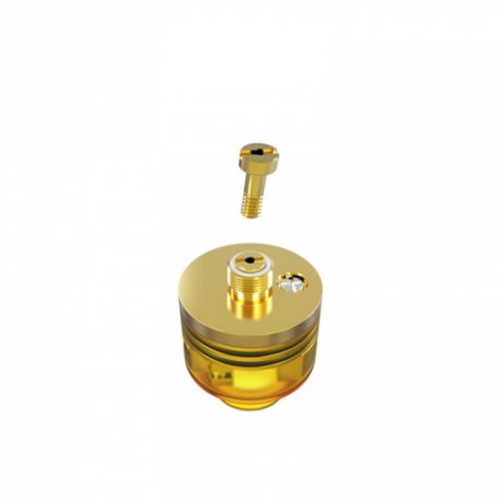 Pin di Ricambio BF per Atomizzatore Wasp Nano BF Oumier