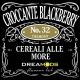 Croccante Blackberry Dreamods N. 32 Aroma Concentrato 10 ml