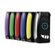 Eclipse Box Mod IPV Pioneer4you - Kit solo Batteria