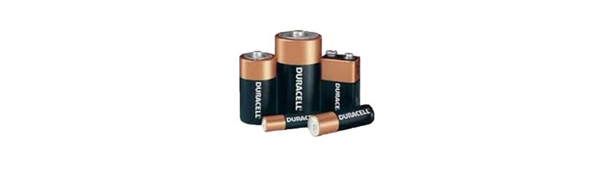 Batterie Alcaline