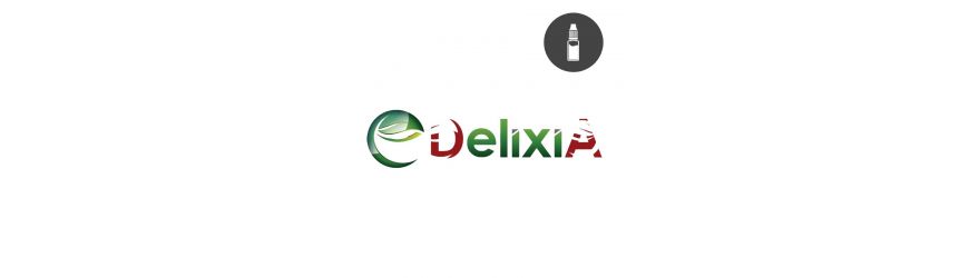 Delixia IT