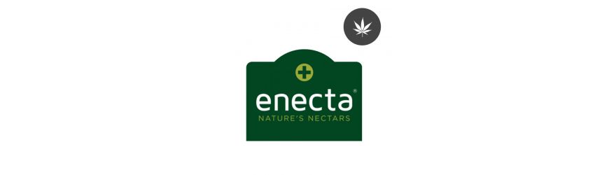 Enecta Enecta