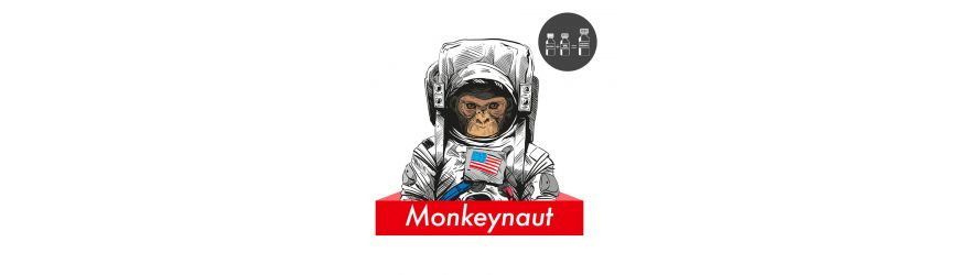 Monkeynaut IT