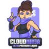 Cloud Ninja