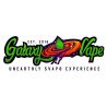 Galaxy Vape